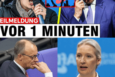 Das 120-Milliarden-Beben: Wie die “Jugendallianz” und ein geheimes Rentenpapier die Regierung an den Rand des Abgrunds treiben