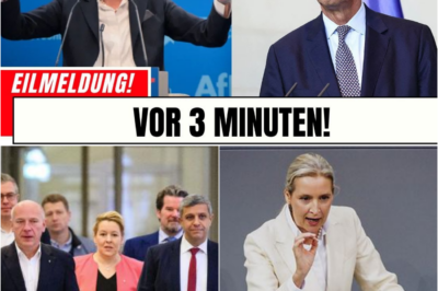 Der Schock-Wahlgang: Merz scheitert krachend – Das politische Beben enthüllt die offene Rebellion in der Koalition und Alice Weidels gnadenlosen Angriff