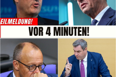 Der große Bruch: Merz’ knallharter U-Turn – Warum Sozialabgaben auf Kapitalerträge den deutschen Sparer verraten und die Politik unglaubwürdig machen