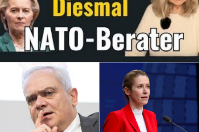 EU-Sanktionen gegen Schweizer NATO-Berater: Wenn freie Meinung zur „Verschwörungstheorie“ erklärt wird