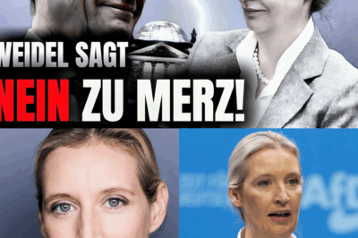 POLIT-BEBEN IN BERLIN: Alice Weidel lässt die Bombe platzen – Die knallharte Absage, die Merz‘ Kanzlerschaft beenden könnte!