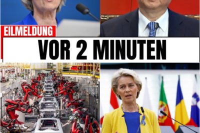 Der politische Amoklauf von Brüssel: Wie die EU mit ihrer Anti-China-Strategie den eigenen Wohlstand opfert