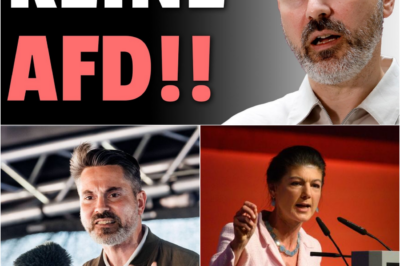 Das Ende der Ära Wagenknecht: Wie Fabio De Masi das BSW zur „Linken 2.0“ macht und die Hoffnung der Wähler begräbt