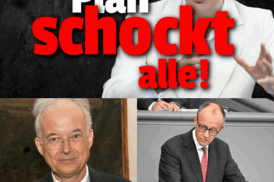 Panik im Bundestag: Warum dieses radikale 25-Prozent-Steuerkonzept die etablierten Parteien das Fürchten lehrt