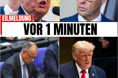 Geopolitischer Showdown in Brüssel: Der riskante Machtkampf zwischen Trump und Merz um 210 Milliarden Euro