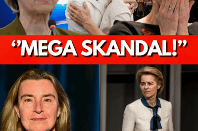 EU-BEBEN: Razzia beim Auswärtigen Dienst – Federica Mogherini unter Korruptionsverdacht! Ist das der Rachefeldzug gegen die “Brüsseler Elite”?