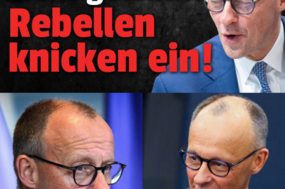 Der erste Domino-Stein fällt: „Junge Gruppe“ knickt beim Rentenpaket ein – Verrat an der jungen Generation?