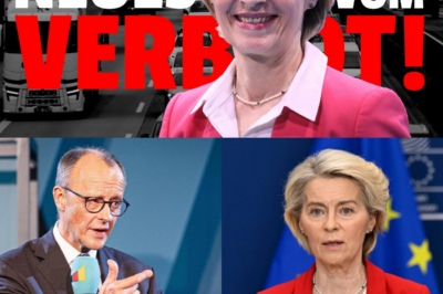 EU-Wende oder Mogelpackung? Kanzler Merz interveniert gegen Verbrenner-Aus – doch Autofahrern droht die Kostenfalle!