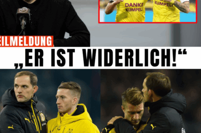 Endlich bricht er sein Schweigen: Marco Reus (35) nennt die 5 Namen, die ihn am meisten verrieten – und die Geschichten dahinter sind herzzerreißend