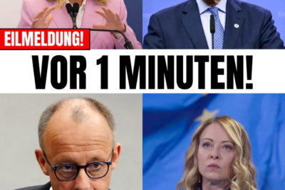 Melonis Rache und der Absturz des Kanzlers: Warum Friedrich Merz jetzt vor dem politischen Aus steht