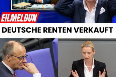Der Jahrhundert-Verrat: Wie Friedrich Merz angeblich unsere Renten an BlackRock verkaufte – und was das für Ihre Zukunft bedeutet