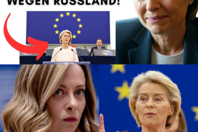 Rebellion gegen Brüssel: Wie Notstandsgesetze und Enteignungspläne die EU an den Rand des Zerfalls treiben