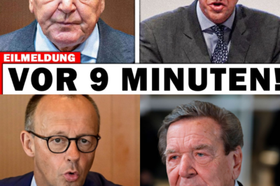 “Codename Atlantis”: Schröders Rachefeldzug enthüllt angeblichen Geheim-Deal von Friedrich Merz mit der Wall Street