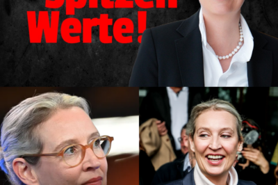 Beben in der Wirtschaft: Brandmauer fällt – Verbände öffnen sich der AfD angesichts historischer 27-Prozent-Umfragen