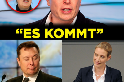 Krieg der Worte eskaliert: Elon Musk vergleicht EU mit “Viertem Reich” und versetzt Kanzler Merz in Panik