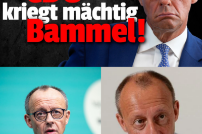 BLANKE PANIK IM KANZLERAMT: CDU am Abgrund – Merz-Lügen entlarvt und die Angst vor dem blauen Tsunami 2026!