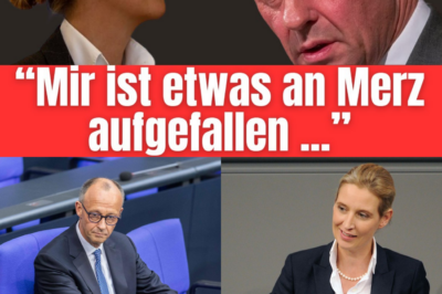 „Eiskalt den Rücken runter“: Alice Weidel enthüllt schockierende Beobachtungen über Friedrich Merz und rechnet mit dem „CDU-Filz“ ab