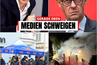 Verschwiegene Fakten zur Eskalation: Wenn Statistiken das offizielle Narrativ über politische Gewalt stürzen