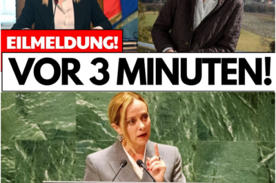 Giorgia Meloni bricht Europas letztes Tabu: Das politische Erdbeben, das die Brandmauer zu Alice Weidel einreißt