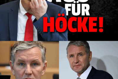 Frontalangriff auf die Opposition: Planen SPD und CDU den totalen Grundrechtsentzug für Björn Höcke?