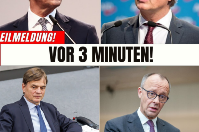 Renten-Aufstand und Machtvakuum: Platzt die Koalition? AfD-Angebot an Merz – Das politische Harakiri der „Goldenen Mausefalle“