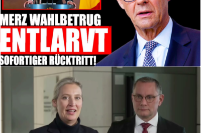 Das AfD-Erdbeben, das Berlin lähmt: Regierungssturz droht – Historische Staatskrise nach Wahlanfechtung