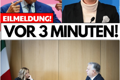 „Kein Geld mehr!“: Orbán und Meloni zerreißen die EU-Einheitsfront – Das 65-Milliarden-Veto und die nackte Angst Brüssels