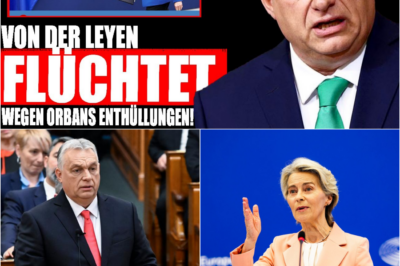 Orbans Akten und die 115-Milliarden-Rebellion: Der doppelte Donnerschlag, der Brüssel und Berlin in den Abgrund zieht