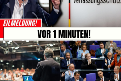 2.000 Seiten Akte wegen eines Kaffees: Wie die “Kontaktschuld” in Deutschland Existenzen zerstört und die Demokratie untergräbt