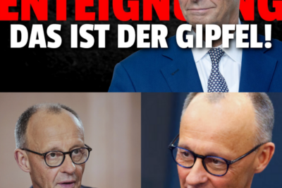 Angriff auf das Sparbuch: Experten fordern Steuer auf „inaktives“ Vermögen – Wer nicht konsumiert, soll zahlen!