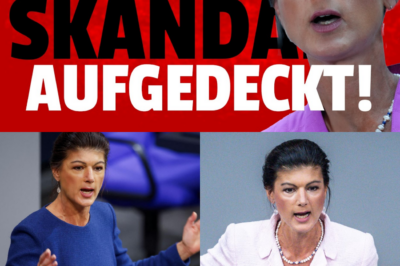 Demokratie-Bankrott in Berlin: Bundestag blockiert Neuauszählung – Wagenknecht spricht von “Bananenrepublik” und zieht vor Gericht!