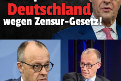 Brisantes Ultimatum aus den USA: Trump fordert Ende der EU-Zensur gegen Stahlzölle – Während Brüssel die totale Chatkontrolle plant