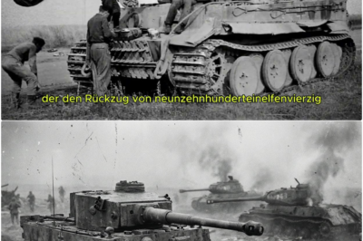 Sowjetische Panzerfahrer lachten über den Tiger I – bis er ihren IS-2 aus 1.000 Metern tötete