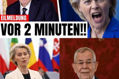 Beben in Brüssel: Wie die Achse Wien-Washington das Ende der EU einläutet und Europa für immer verändern könnte