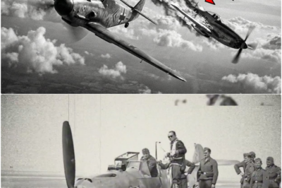 Die P-51 Mustang galt als unbesiegbar – bis ein Soldat dies beim Reinigen eines Wracks bemerkte