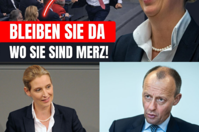 Affaire Émile : Les grands-parents en garde à vue, l’hypothèse de l’accident maquillé et le secret familial qui terrifie la France