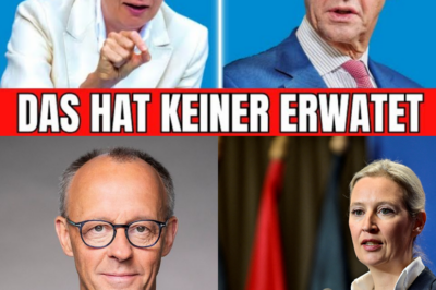 TV-Skandal des Jahrhunderts: Kanzler Merz flieht live bei “Anne Will” aus dem Studio – Weidel enthüllt geheimes Regierungs-Dokument