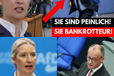 Gnadenlose Abrechnung im Bundestag: Alice Weidel demontiert Friedrich Merz und warnt vor dem totalen Wirtschaftskollaps – „Wir werden belogen!“