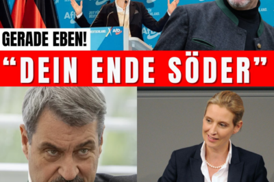 Söder am Abgrund: Wie Alice Weidel den CSU-Chef live im TV zerlegte und die politische Wende einläutete
