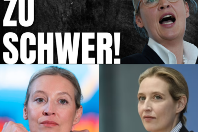 Bankrotterklärung der Bildungspolitik: Niedersachsen schafft schriftliches Dividieren ab – Kapitulieren wir vor der eigenen Zukunft?