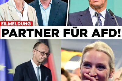 Der Pakt: Guttenbergs Beben, Weidels Triumph und der Nervenkrieg, der die CDU zerreißt