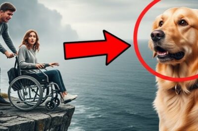 Ein reicher Sohn stößt seine gelähmte Mutter von einer Klippe, überzeugt davon, dass niemand die Wahrheit je erfahren wird – doch er übersieht ein Detail, das alles verändert: den Hund. Was der treue Vierbeiner danach tut, setzt eine Kette von Ereignissen in Gang, die Ermittler sprachlos macht und eine grausame Tat ans Licht bringt. Minuten entscheiden über Leben und Tod, und die Loyalität des Hundes wird zum entscheidenden Beweis… klickt auf den Link, um das ganze Video zu sehen.