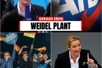 Sachsen im Umbruch: AfD pulverisiert 37-Prozent-Marke – Alice Weidels nächster strategischer Schachzug enthüllt