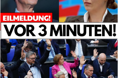 Der Brandmauer-Schock: Gericht öffnet Türen für AfD – Weidels triumphale Reaktion bringt das Establishment ins Wanken