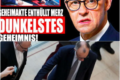 Systemkollaps enthüllt: Merz-Regierung stürzt über Renten-Täuschung, Korruption und den Fall der Brandmauer
