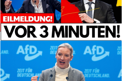 Die Stunde Null: Bundestag wählt Weidel – Merz am Ende – Die Brandmauer ist gefallen