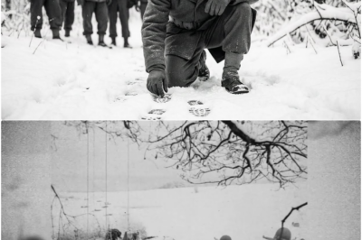 Wie ein Deutscher mit einem „verrückten“ Fußspur-Trick eine geheime Sowjetbasis im Wald enttarnte