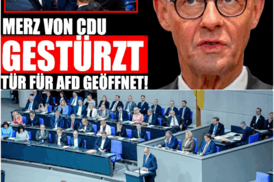 Kollaps in Berlin: CDU-Rebellen öffnen Weidel die Türen – Merz’ Ende ist eingeläutet