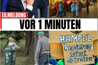 Systematischer Selbstmord einer Nation: Warum Deutschland kurz vor Weihnachten mit voller Wucht gegen die Wand fährt