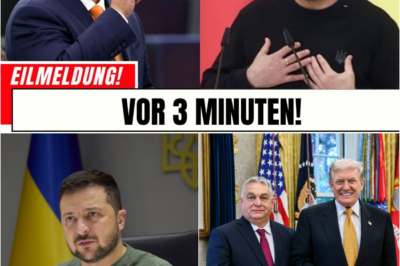 Der große Bruch: Wie Viktor Orbán und Donald Trump die EU-Sanktionsfront zerlegten und Wladimir Putin zum strategischen Profiteur machten
